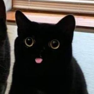 Meet your Posher, Moe